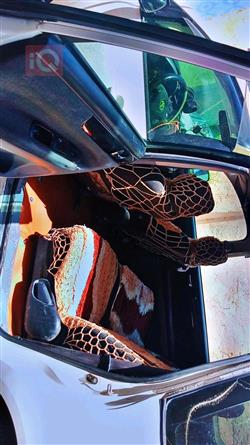 تويوتا إبسم